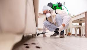 Trusted Milpitas, CA Pest Control Experts